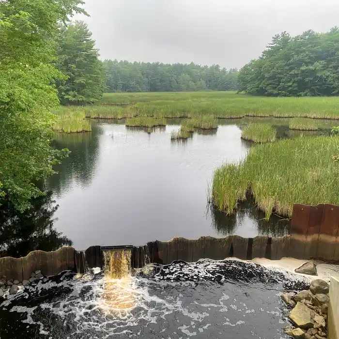 A corrugated metal weir a few inches above the water surface.