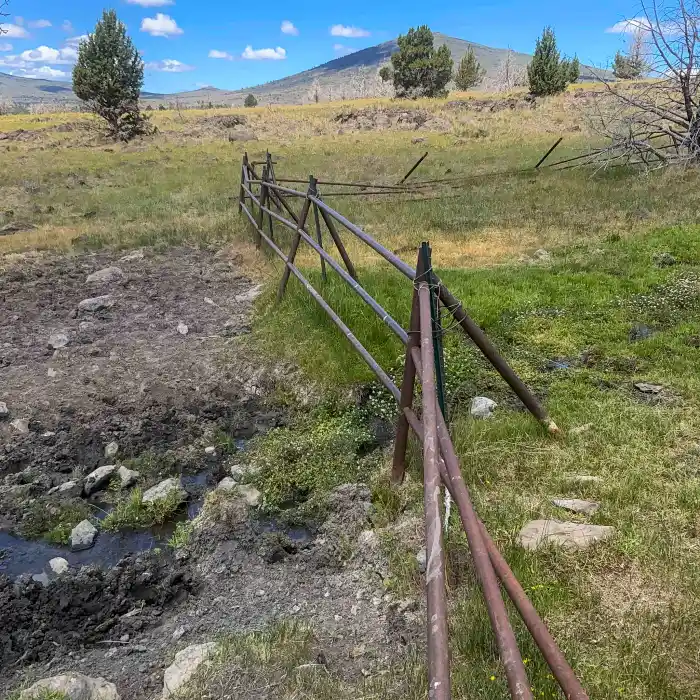 A twisted metal fence. On the right side, grass is growing. On the left side, it has been grazed and trampled.