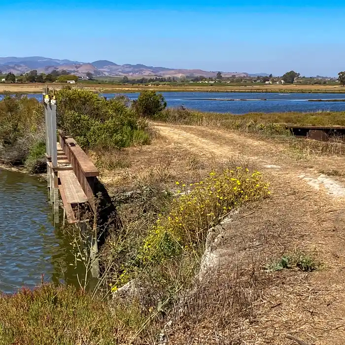 A dirt road going out to an estuary. A floodgate goes under the road.