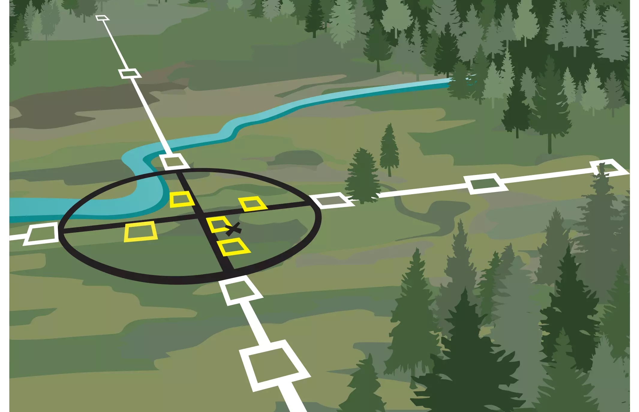 Diagram of assessment area overlaid on an alpine wetland.